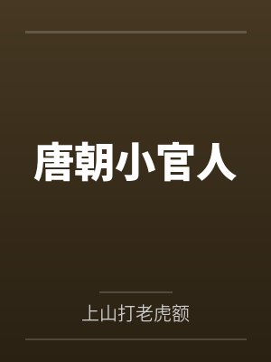 唐朝小官人