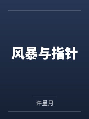 风暴与指针